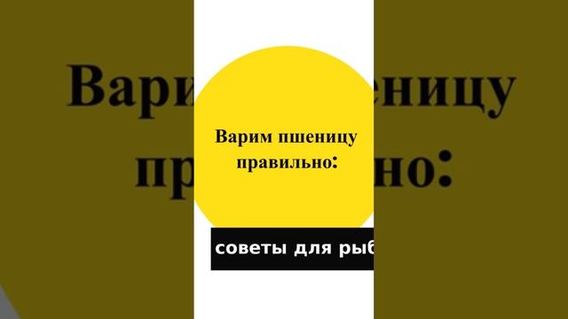 Готовим пшеницу на рыбалку. Полное видео по ссылке.