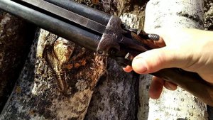 Новое приобретение ТОЗ-63.