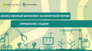 Искусственный интеллект на молочной ферме: управление стадом