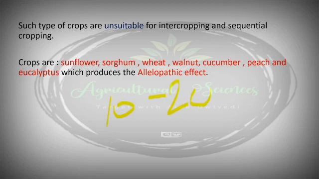 Allelopathy in agriculture | Allelopathy in plants in hindi | Management of Allelopathy смотреть онлайн