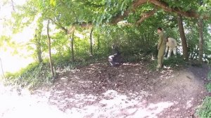 Виды кувырков, отработка.  ©® Ольга Корогодская™