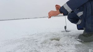 рыбалка первый лёд 2023-2024