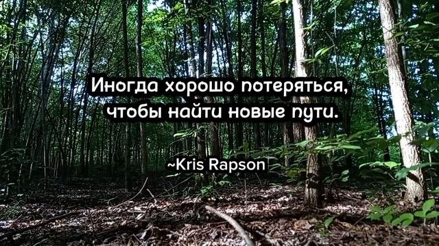 Цитаты