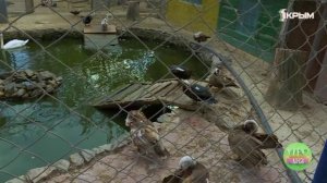 Удивительные уголки Северного Крыма