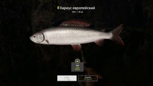 РР4 р. Белая проверил точку на Голавля