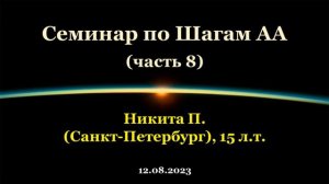 Семинар по Шагам АА. Никита П. (СПб). Часть 8