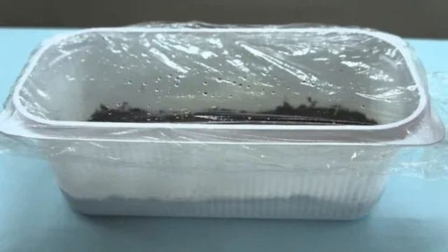Как вырастить рассаду баклажан дома