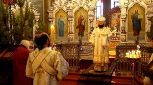 Отдание праздника Рождества Христова. Слово епископа Борисоглебского и Бутурлиновского Сергия