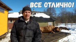 Куры бьют рекорды, индюки не радуют,  строим планы с мотоблоком МТЗ Беларус  к посевной!