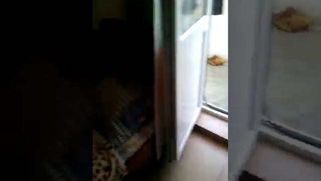 Саноторий Жемчужина моря обзор комнат