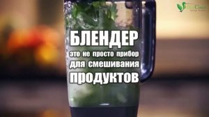 Как выбрать блендер и дегидратор, чтобы не пожалеть в будущем.