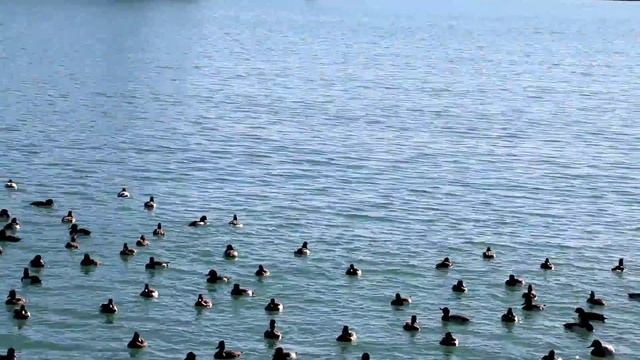 Центральная площадь и набережная Черного моря в Туапсе