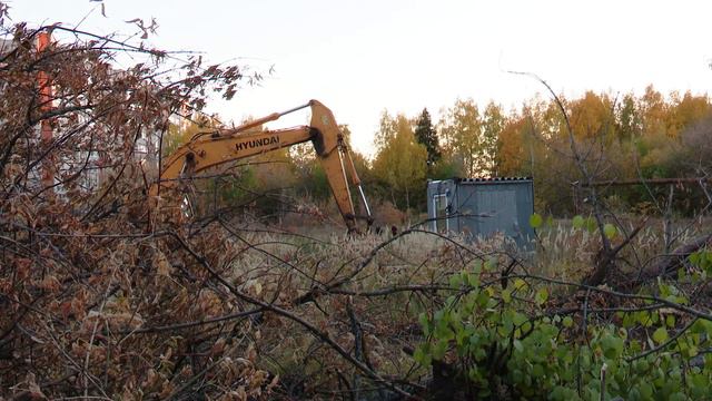 Тимирязевский лес 05.10.2021 смотреть онлайн