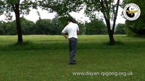 Цигун Дикого гуся (Даянь цигун - Dayan Qigong)