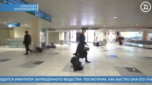 Телеканал «ТВ-Домодедово», 28-летие Домодедовской таможни