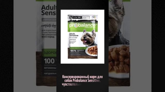 Консервированный корм для собак Probalance Sensitive, чувствительное пищеварение, 100г