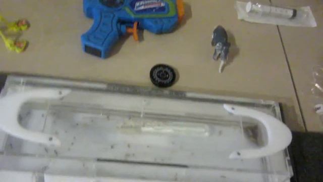 муравьи #43 ДАЛ МУРАВЬЯМ СЕМКИ смотреть онлайн