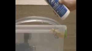 Fix a Leak