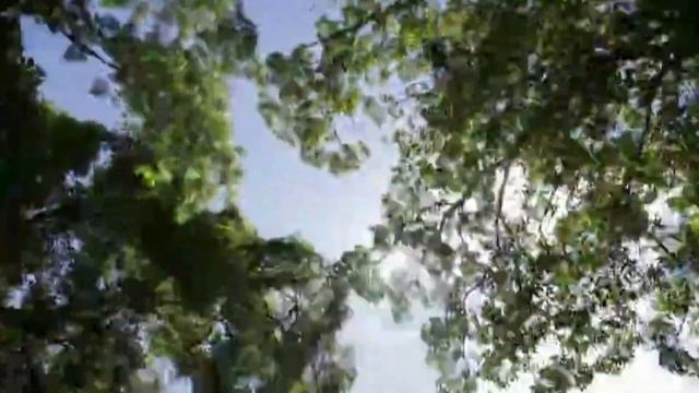 Газеты Пишут - Море смотреть онлайн