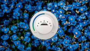 Гульмира Мамедова - Убеди меня saxur mahnisi \ цахурские песни