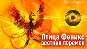 Птица Феникс инструмент от создателей мироздания