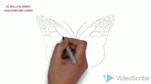 How to Draw a Butterfly / Как нарисовать бабочку