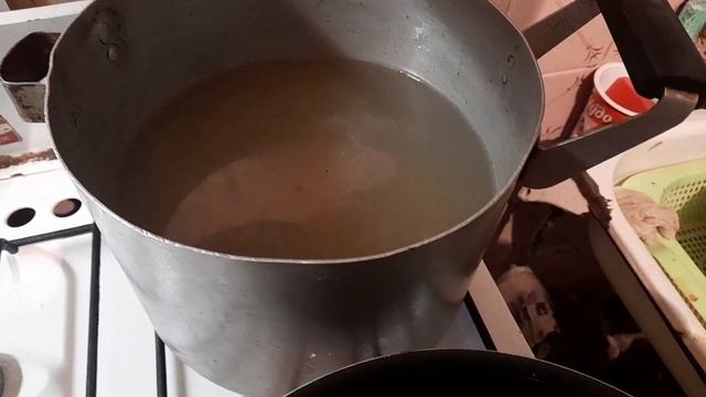 Сбылась 