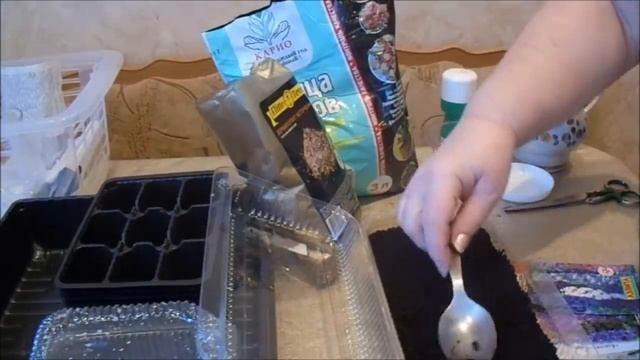 ТОЛЬКО ТАК ДЕЛЬФИНИУМ ВЗОЙДЁТ. СЕКРЕТЫ ПОСЕВА ДЕЛЬФИНИУМА НА РАССАДУ смотреть онлайн