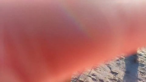 «Ход омуля» #рыба #охота #республикасаха #рыбаки #якутия #омуль #рекомендации #россия #рыбалка