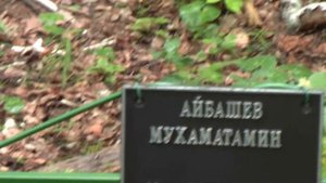 Старое родовое кладбище в Новошареево 16.07.2012 г.