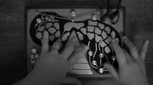 Soma Laboratory Enner Jam. Songs of the Night Frog