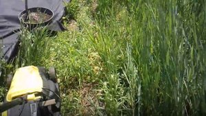 Работа электрогазонокосилкой в труднодоступном месте