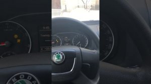 Заводим Шкода Октавия в мороз -24.