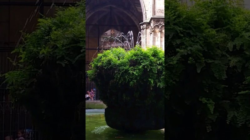 Magic #Fountain in #Barcelona Cathedral