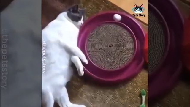 Про лентяев смотреть онлайн