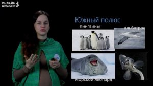 Видеоурок 18.1. Холодные районы Земли. Окружающий мир 1 класс