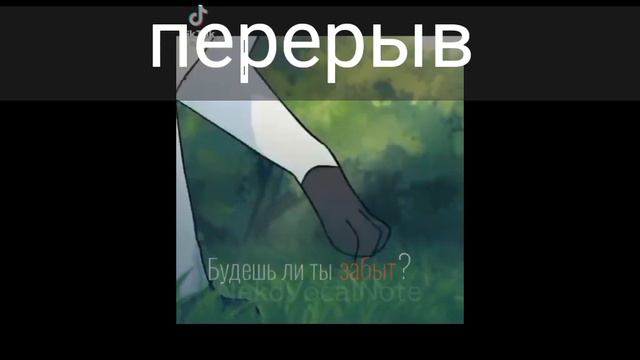 _реакция 13 карт на котов-воителей _