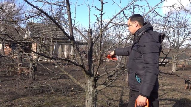 Весенняя обрезка обработка сада от болезней и вредителей смотреть онлайн