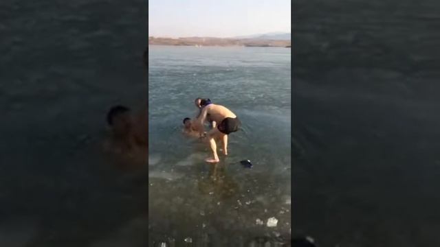 Приколы Моржи жгут смотреть онлайн