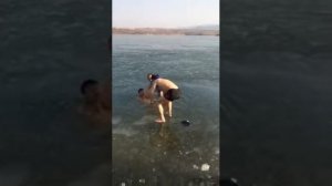 Приколы Моржи жгут