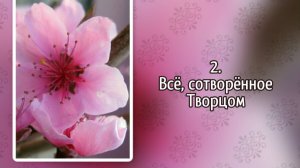 Гимны надежды 2 Всё, сотворённое Творцом (-)