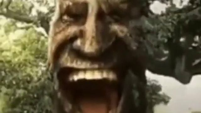 Мудрое Мистическое Дерево смеётся фон смотреть онлайн