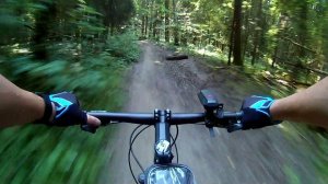 Немного лесного экстрима)