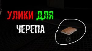 сталкер Подстава Янтарь Разыскать Черепа Найти УЛИКИ