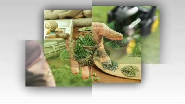 Как МУЛЬЧИРОВАТЬ комнатные растения. МУЛЬЧИРОВАНИЕ ПОЧВЫ в цветочном горшке смотреть онлайн