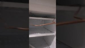 Холодильник Днепр , неработает.