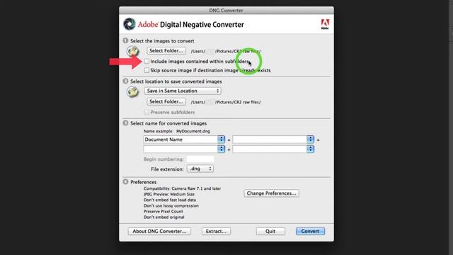 The Dng Converter for Photography смотреть онлайн