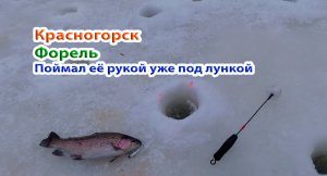 Нырнул в лунку за форелью, нашел ее под лункой...