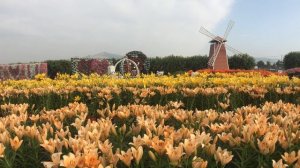Taiwan Trip 2018 | Taipei, Taichung, Chiayi, Kaohsiung