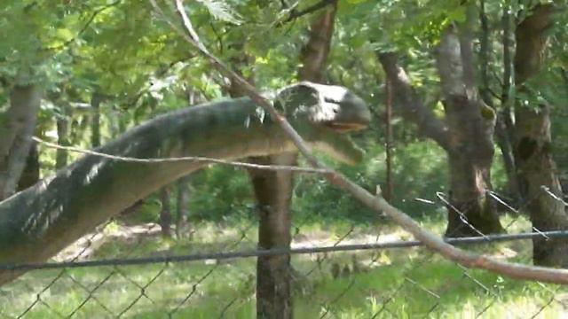 Аттракцион динозавры парке Бомбора смотреть онлайн